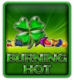 BURNING HOT logo