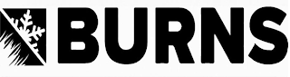 BURNS logo