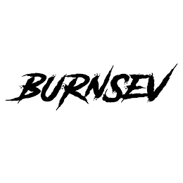 BURNSEV logo