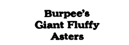 BURPEE'S GIANT FLUFFY ASTERS logo