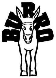 BURRO logo