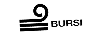 BURSI logo