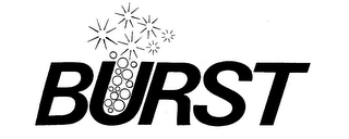 BURST logo