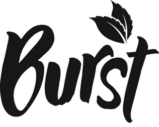 BURST logo