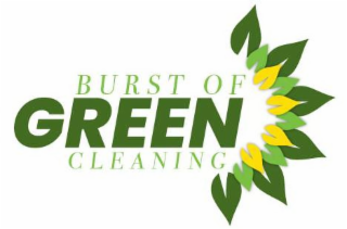BURST OF GREEN CLEANING logo