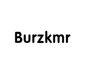 BURZKMR logo