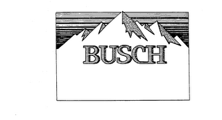 BUSCH logo