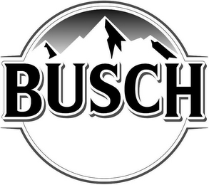 BUSCH logo