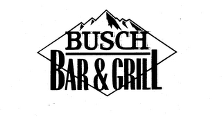 BUSCH BAR & GRILL logo