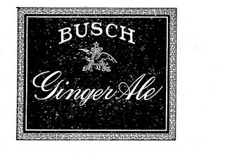 BUSCH GINGER ALE logo