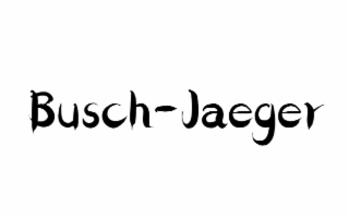 BUSCH-JAEGER logo