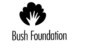 BUSH FOUNDATION logo