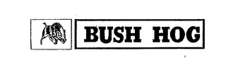 BUSH HOG logo