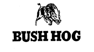 BUSH HOG logo