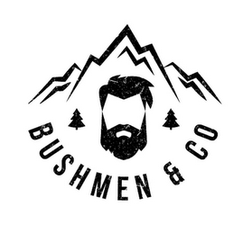 BUSHMEN & CO logo