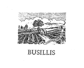 BUSILLIS VIOGNIER IN DIEBUS ILLIS logo