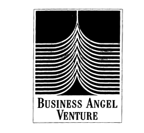 BUSINESS ANGEL VENTURE logo