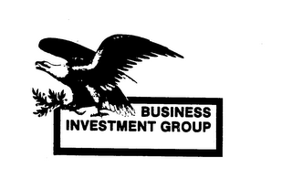 BUSINESS INVESTMENT GROUP logo