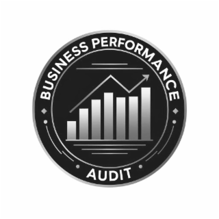 BUSINESS PERFORMANCE AUDIT logo