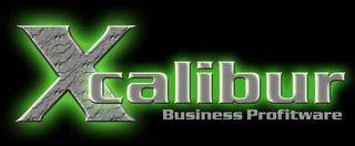 BUSINESS PROFITWARE logo