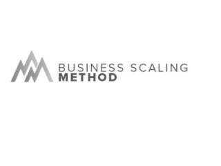 BUSINESS SCALING METHOD logo