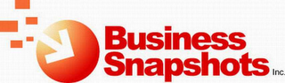 BUSINESS SNAPSHOTS, INC. logo