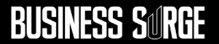 BUSINESS SURGE logo