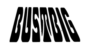 BUSTBIG logo
