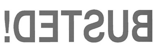 BUSTED! logo