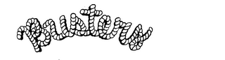 BUSTERS logo