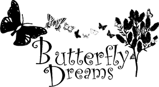 BUTTERFLY DREAMS logo