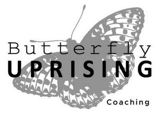 BUTTERFLY UPRISING COACHING logo