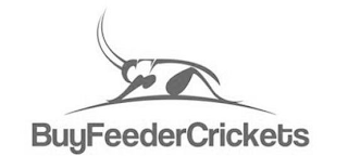 BUYFEEDERCRICKETS logo