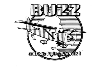 BUZZ AND HIS FLYING FRIENDS! logo