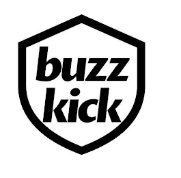 BUZZ KICK logo