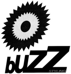 BUZZ STYLING logo