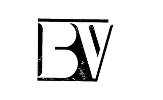 BV logo