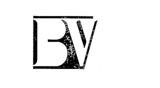 BV logo