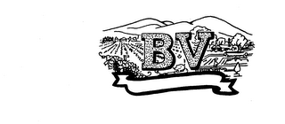 BV logo