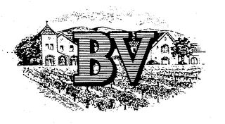 BV logo