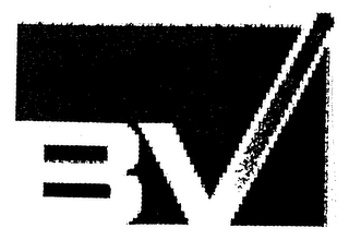 BV logo