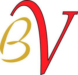 BV logo