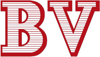 BV logo