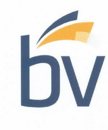 BV logo