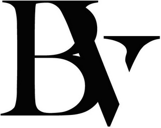BV logo