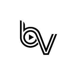 BV logo