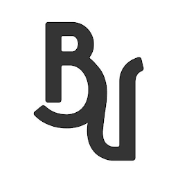 BV logo