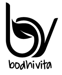 BV BODHIVITA logo