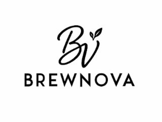 BV BREWNOVA logo