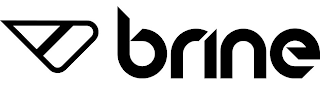 BV BRINE logo